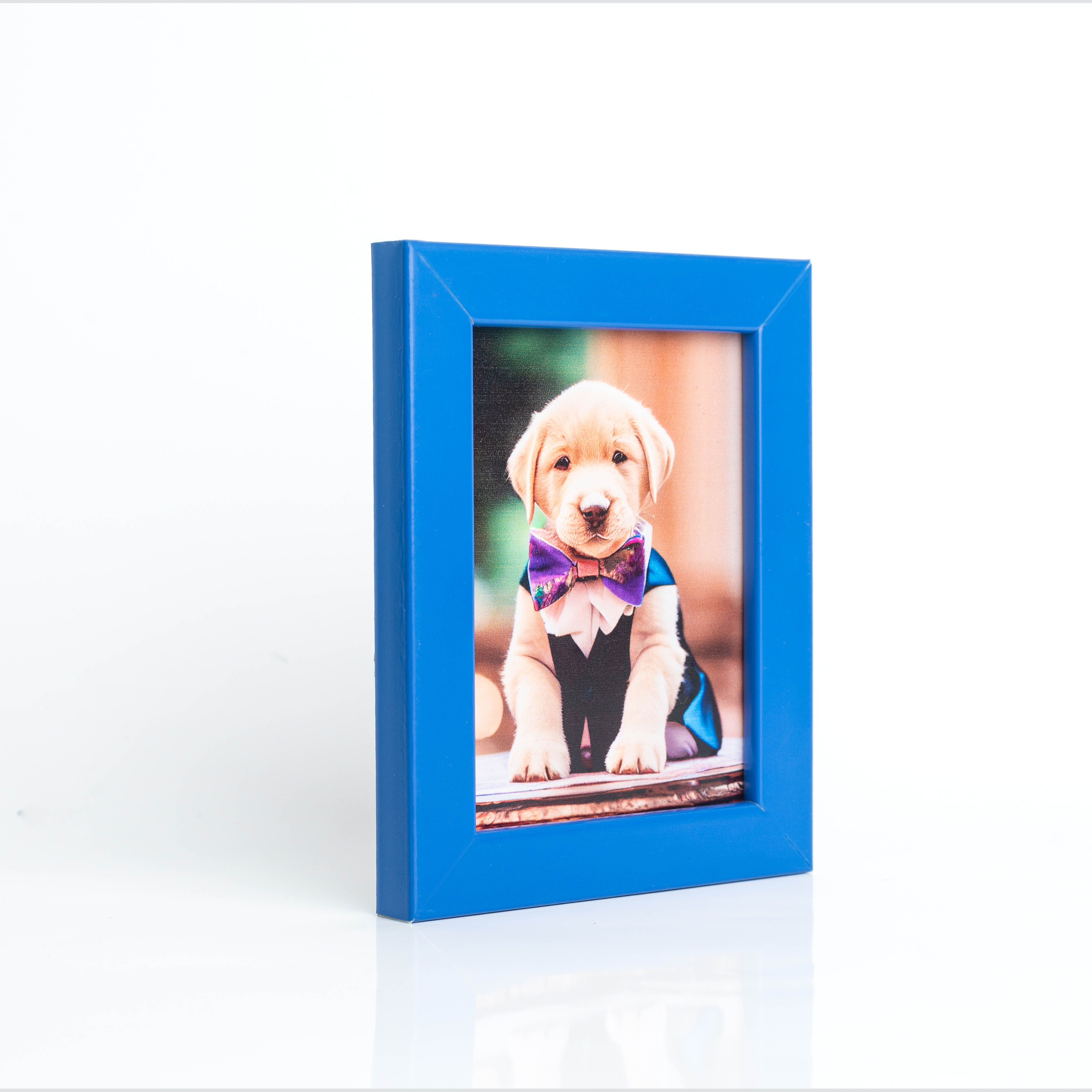 Frame Fridge Magnets Pack of 8