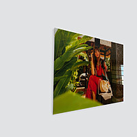 Acrylic Photo Panel Acrylic Photo Panel