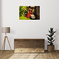 Acrylic Photo Panel Acrylic Photo Panel